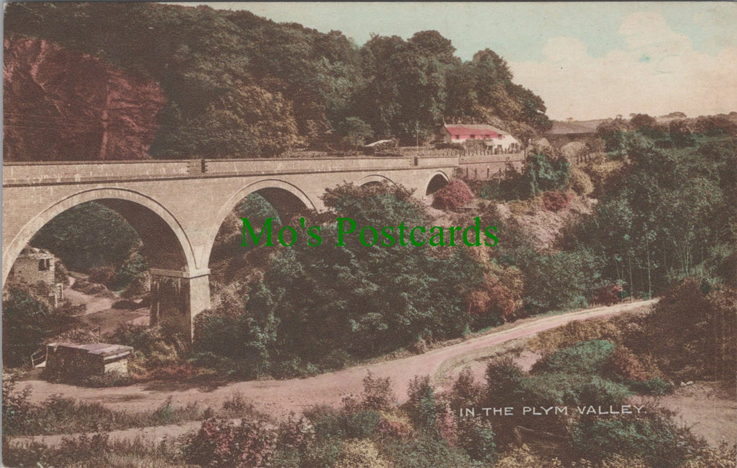 In The Plym Valley, Devon