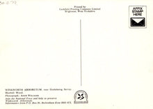 Load image into Gallery viewer, Surrey Postcard - Bluebell Wood, Winkworth Arboretum, Nr Godalming - Mo’s Postcards 
