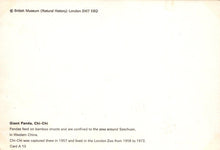 Load image into Gallery viewer, Animals Postcard - Giant Panda, Chi-Chi - British Museum - Mo’s Postcards 
