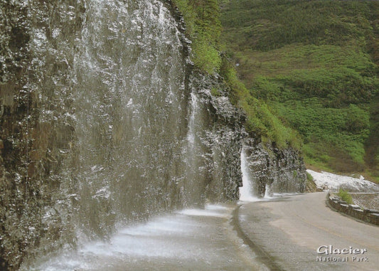 America Postcard - Glacier National Park, Montana - Mo’s Postcards 