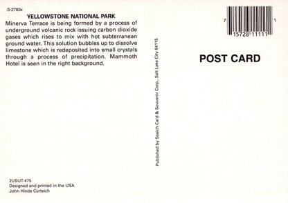 America Postcard - Mammoth Hot Springs, Yellowstone National Park, Wyoming - Mo’s Postcards 