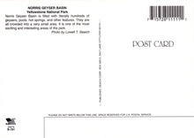 Load image into Gallery viewer, America Postcard - Norris Geyser Basin, Yellowstone National Park, Wyoming - Mo’s Postcards 
