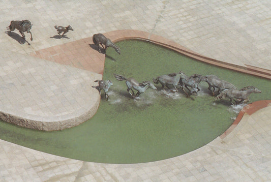 America Postcard - The Mustangs of Las Colinas, Williams Square, Irving, Texas - Mo’s Postcards 