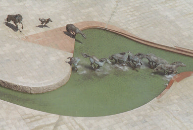 America Postcard - The Mustangs of Las Colinas, Williams Square, Irving, Texas - Mo’s Postcards 
