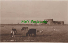 Load image into Gallery viewer, Camber Castle, Nr Rye, Sussex
