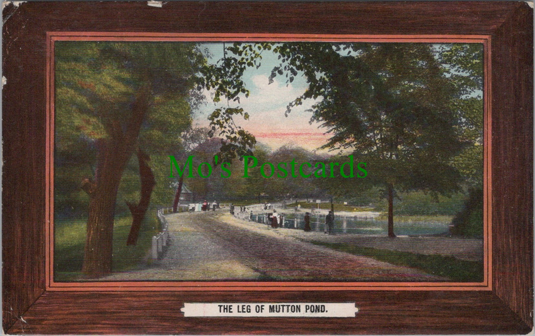 The Leg of Mutton Pond, Hampstead, London