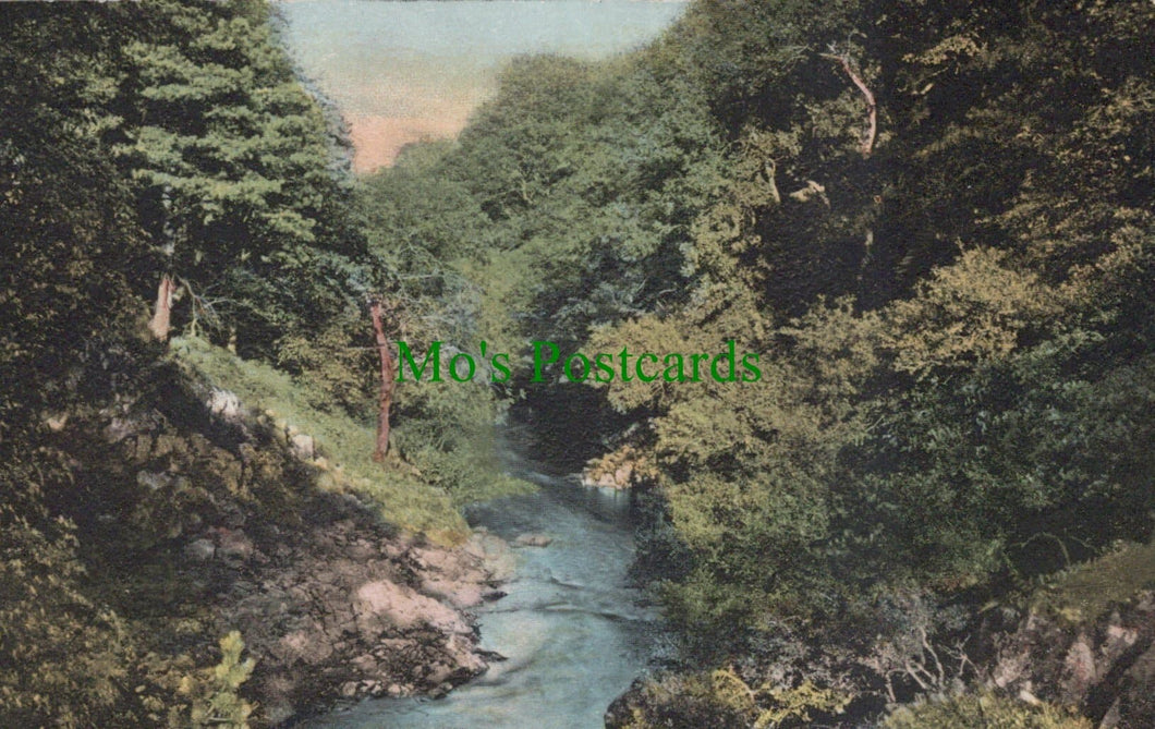 Happy Valley, Wooler, Northumberland