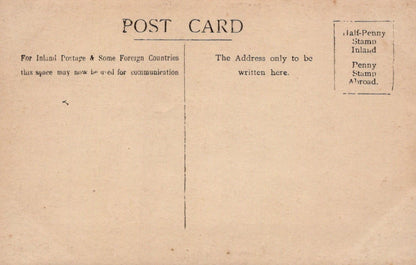 Social History Postcard - Real Photo of Two Young Ladies - Mo’s Postcards 