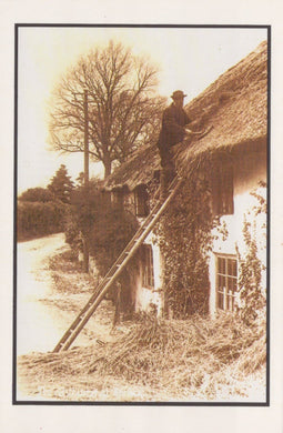 Nostalgia Postcard - The Old Thatcher at Porlock - Mo’s Postcards 