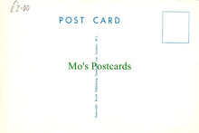 Load image into Gallery viewer, Comic Postcard - Risque / Lady / Carpet / Stairs
