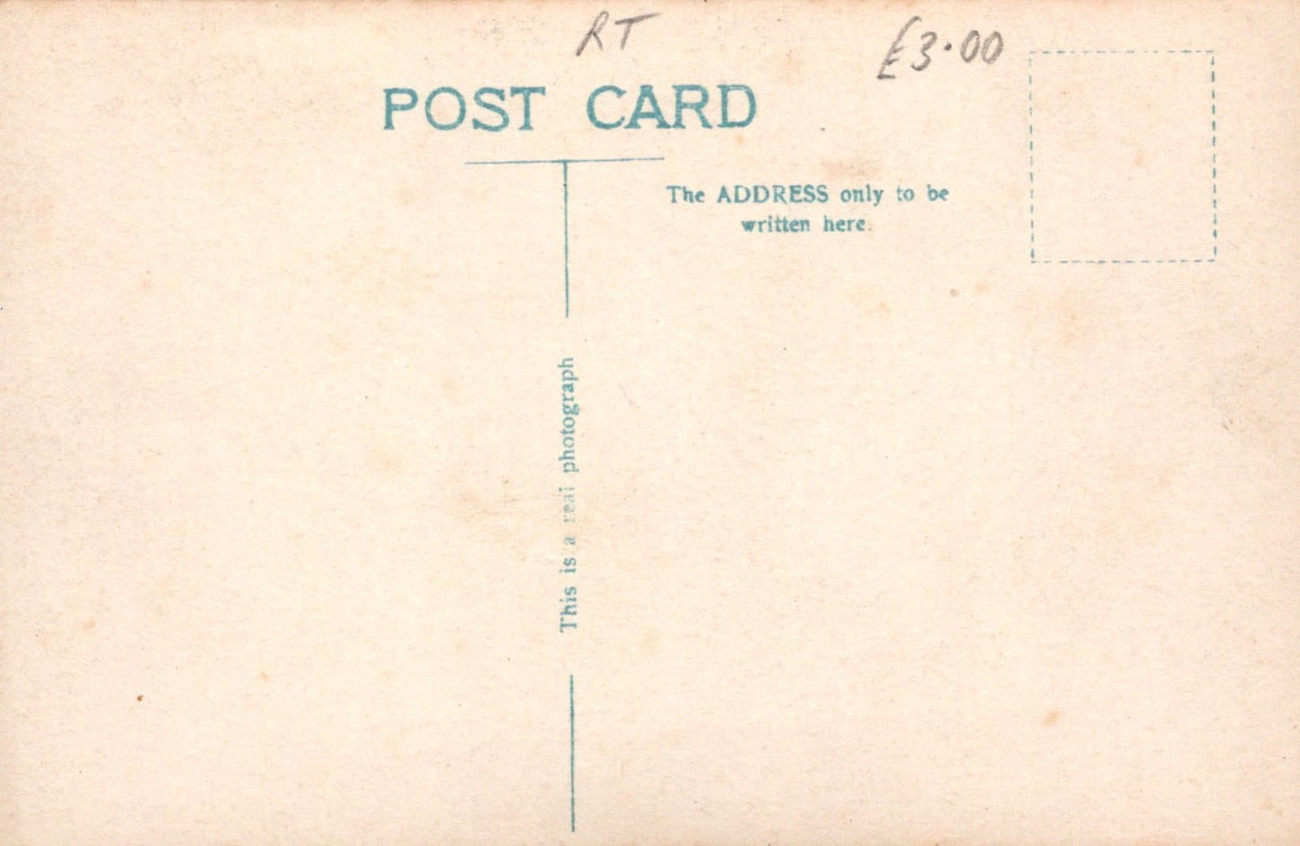 Actress Postcard - Polish Stage and Film Actress Pola Negri - Mo’s Postcards 