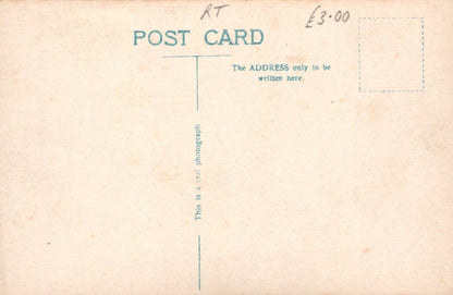 Actress Postcard - Polish Stage and Film Actress Pola Negri - Mo’s Postcards 