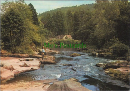The River Coquet at Rothbury, Northumberland