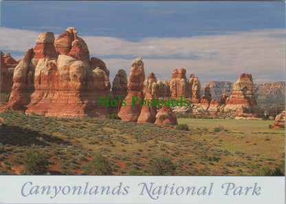 Chester Park, Canyonlands National Park