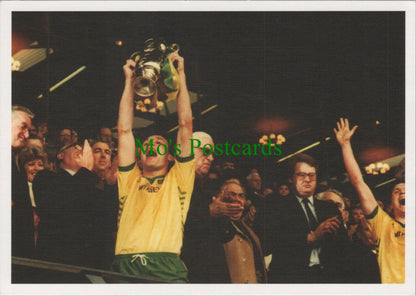 Norwich City Victory Over Sunderland
