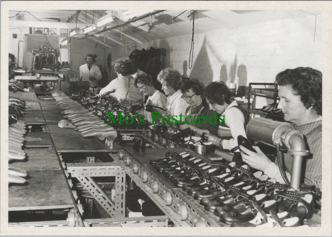 Ward Shoe Company, Magdalen Street, Norwich