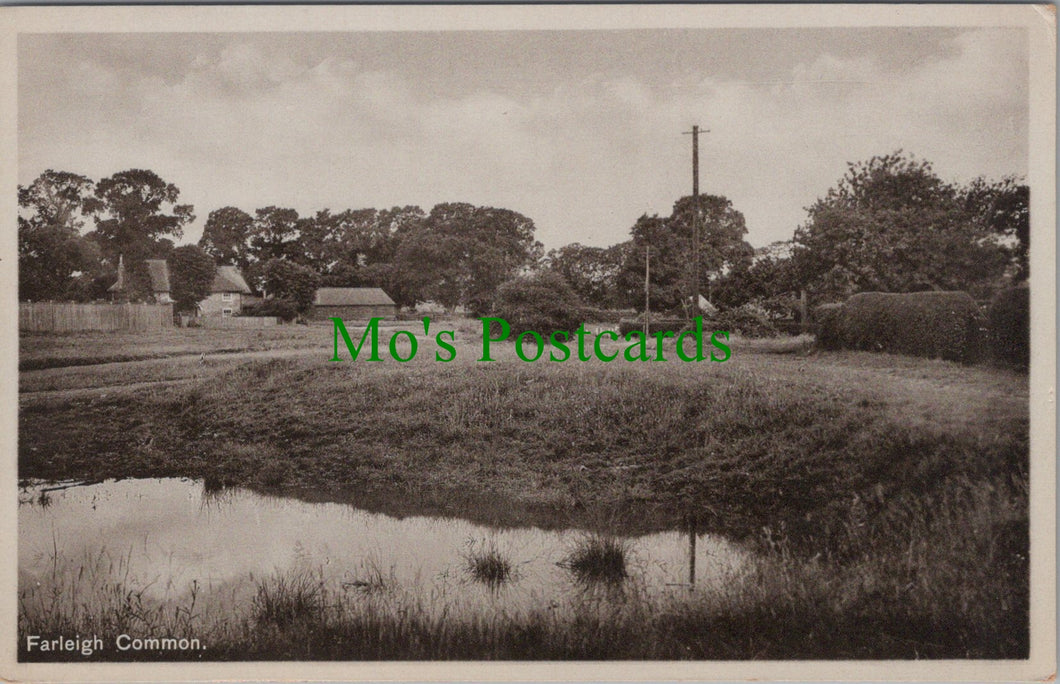 Farleigh Common, Surrey