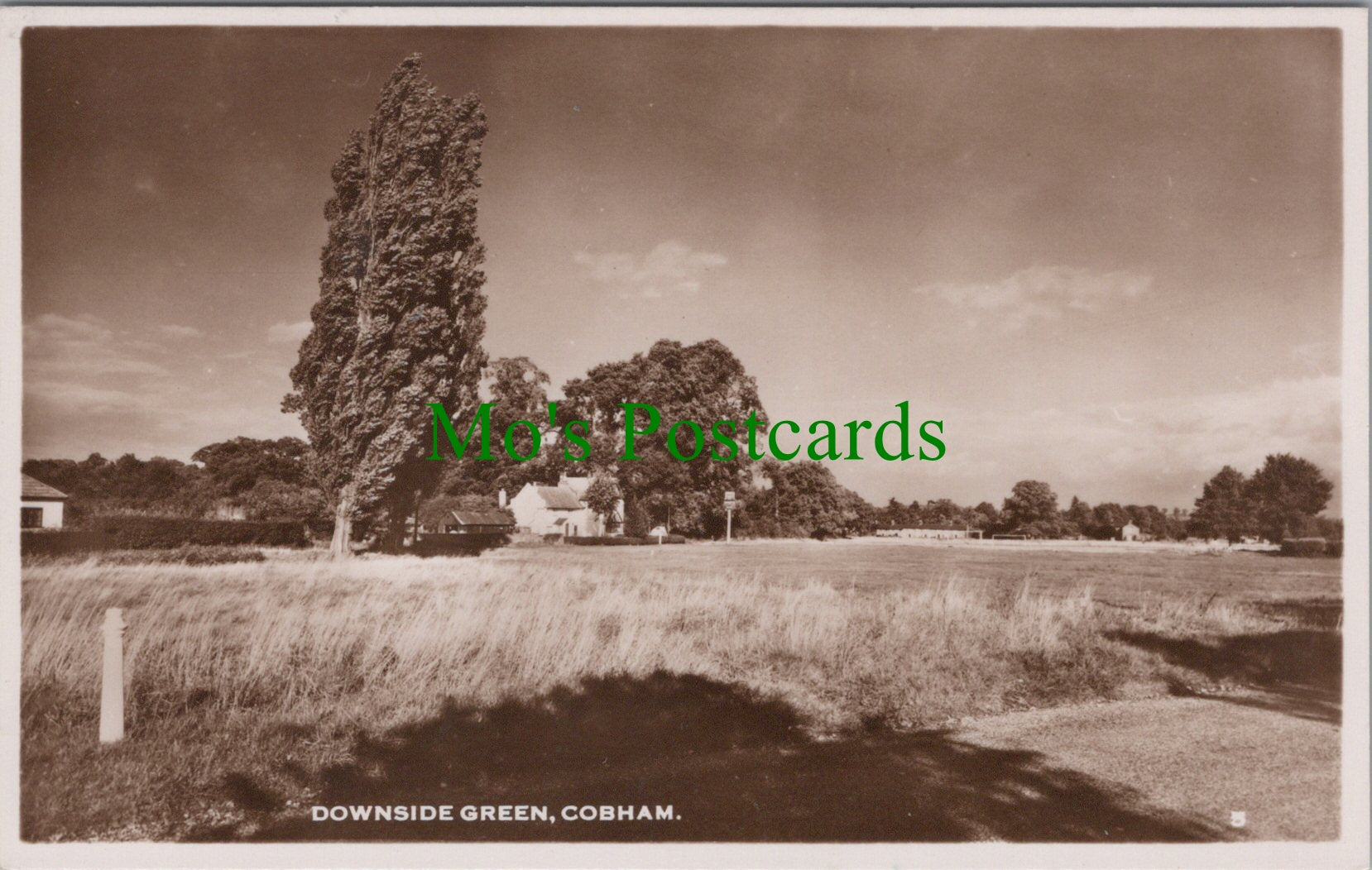Downside Green, Cobham, Surrey