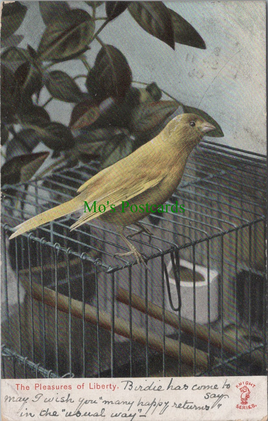 Birds Postcard - The Pleasures of Liberty