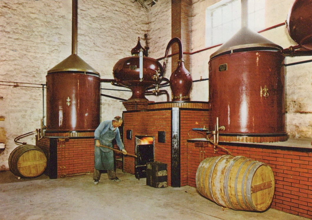 France Postcard - Remy Martin - Distillerie Charentaise - Mo’s Postcards 