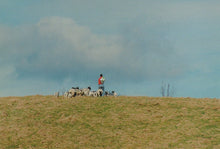 Load image into Gallery viewer, Derbyshire Postcard - Shepherd With The Jacob Flock, Chatsworth - Mo’s Postcards 
