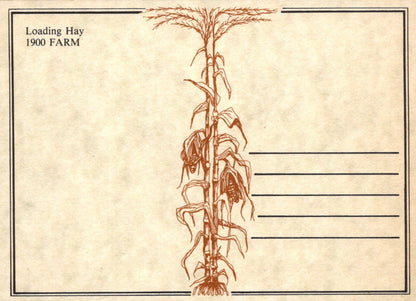 Farming Postcard - Loading Hay, 1900 Farm - Living History Farms - Mo’s Postcards 