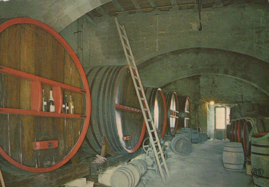 France Postcard - Environs De Condom En Armagnac (Gers) - Mo’s Postcards 