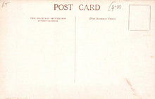 Load image into Gallery viewer, Animals Postcard - Exotic Butterflies - Melanitis Leda - British Museum - Mo’s Postcards 
