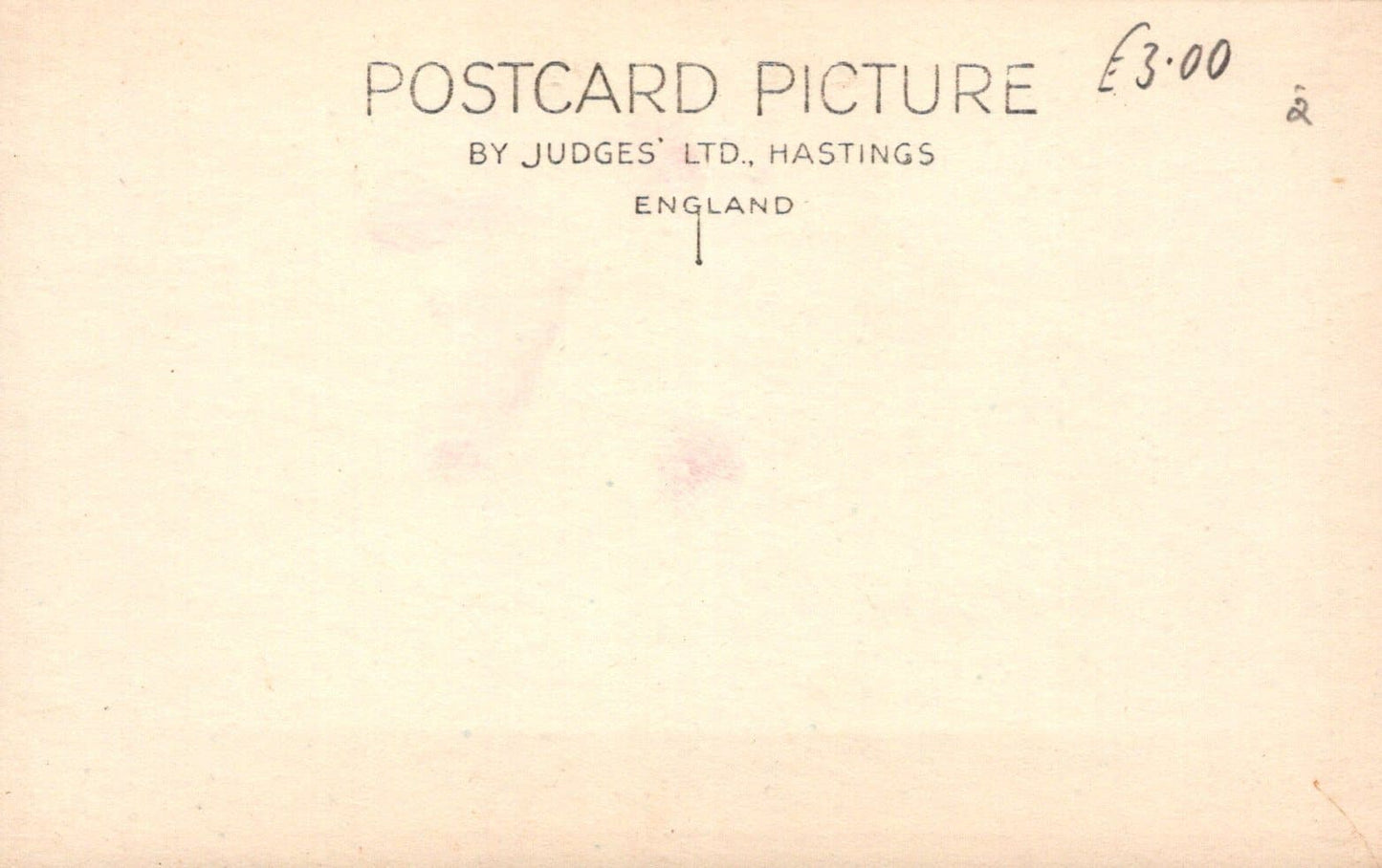 Animals Postcard - Dogs - An Airedale Terrier - Mo’s Postcards 