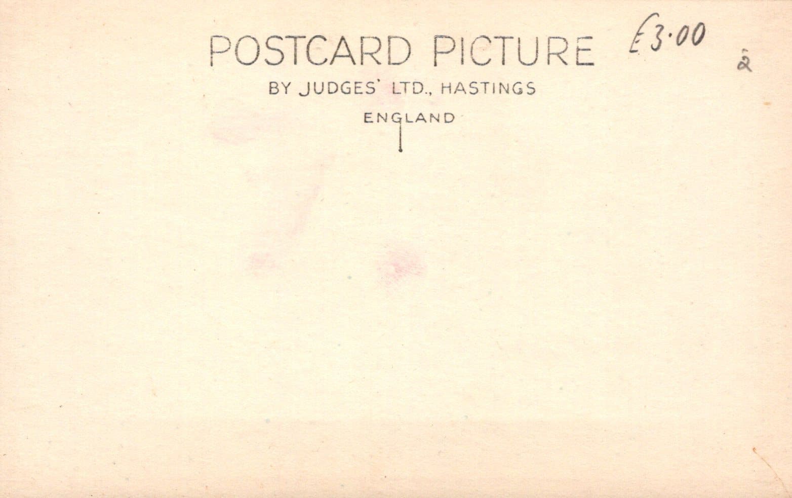 Animals Postcard - Dogs - An Airedale Terrier - Mo’s Postcards 