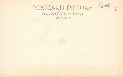 Animals Postcard - Dogs - An Airedale Terrier - Mo’s Postcards 