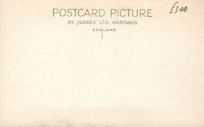 Animals Postcard - Dogs - A Dog Causing Mischief - Mo’s Postcards 
