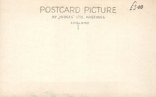 Load image into Gallery viewer, Animals Postcard - Dogs - A Dog Causing Mischief - Mo’s Postcards 
