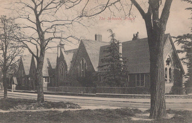 Surrey Postcard - The Schools, Esher, 1908 - Mo’s Postcards 