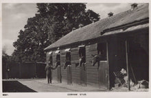 Load image into Gallery viewer, Surrey Postcard - Cobham Stub - Horses / Stables - Mo’s Postcards 
