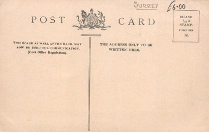 Surrey Postcard - Aldworth House, Haslemere - Mo’s Postcards 