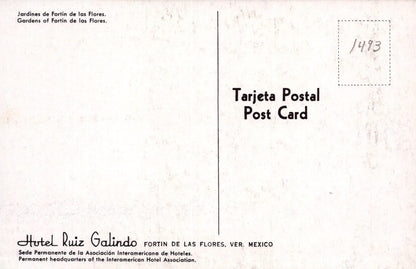 Mexico Postcard - Gardens of Fortin De Las Flores, Hotel Ruiz Galindo, Veracruz - Mo’s Postcards 