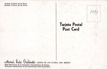 Load image into Gallery viewer, Mexico Postcard - Gardens of Fortin De Las Flores, Hotel Ruiz Galindo, Veracruz - Mo’s Postcards 
