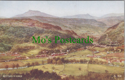 View of Bettws-Y-Coed