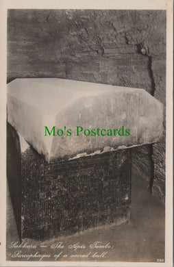 The Apis Tombs, Sakkara, Egypt