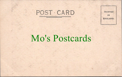 Children Postcard - Fresh Fish To-Day