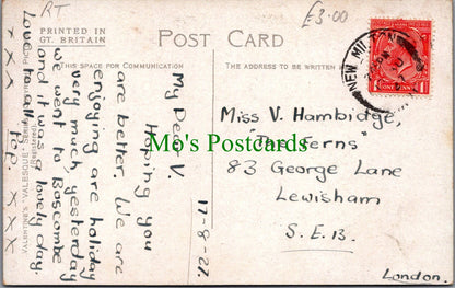 Animals Postcard - Dogs - Three Puppies
