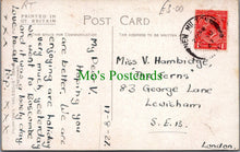 Load image into Gallery viewer, Animals Postcard - Dogs - Three Puppies
