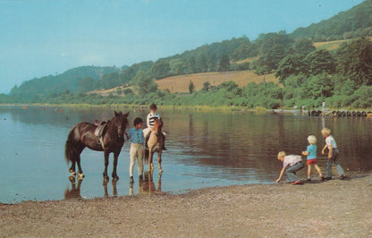 Wales Postcard - Horse Riding, Bala Lake - Mo’s Postcards 