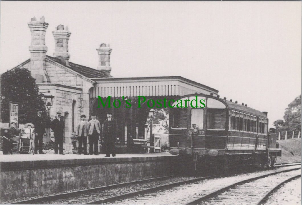 Abbotsbury Station, Looking West, In The Early 1900's