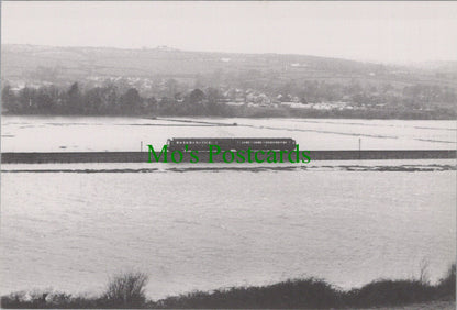 A Train Shortly After Leaving Seaton