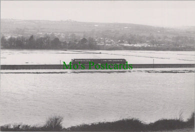 A Train Shortly After Leaving Seaton