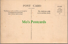 Load image into Gallery viewer, Channel Islands, Jersey Cabbages - Choux
