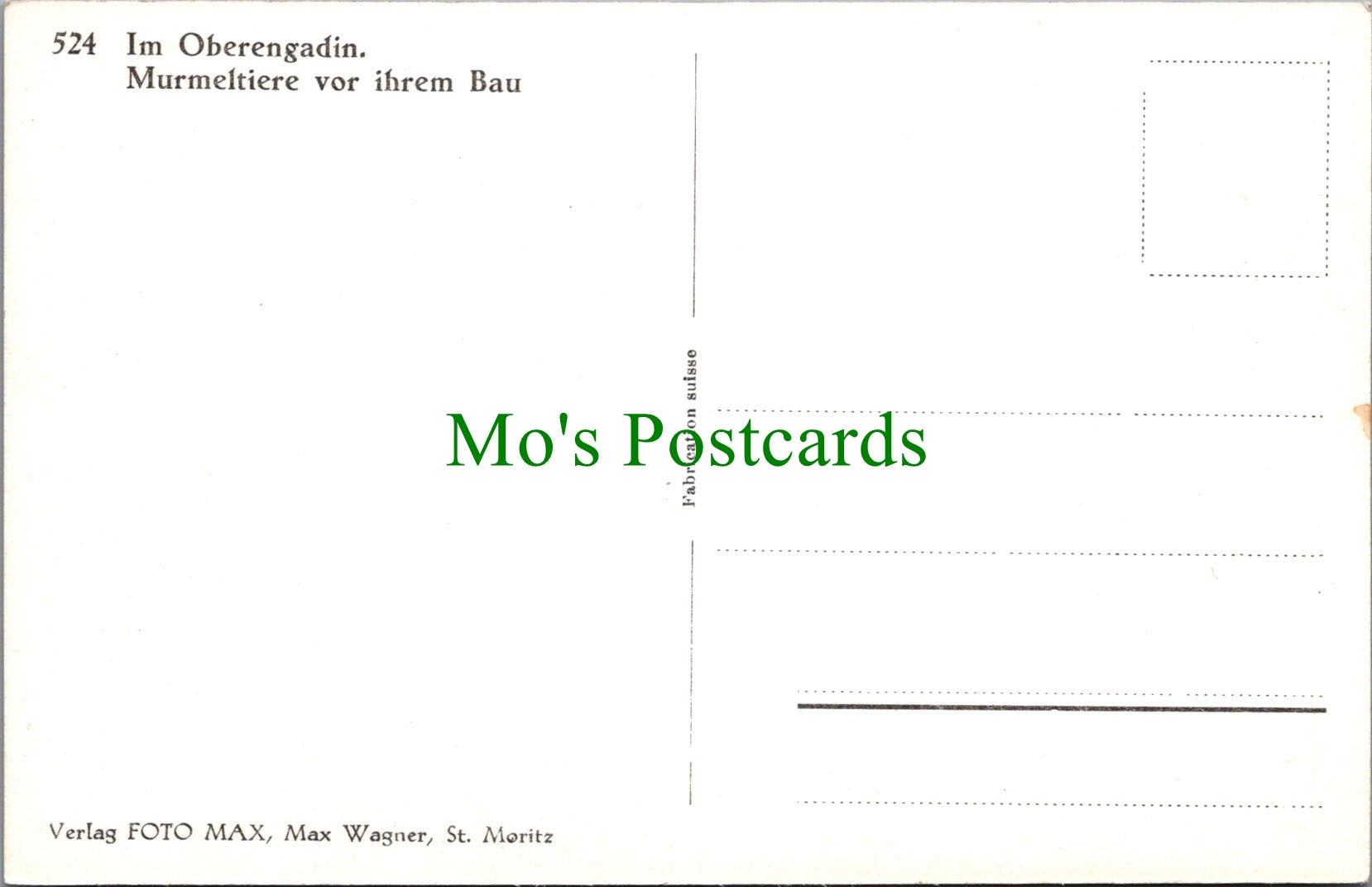 Animals Postcard - Marmot / Murmeltiere