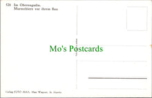 Load image into Gallery viewer, Animals Postcard - Marmot / Murmeltiere
